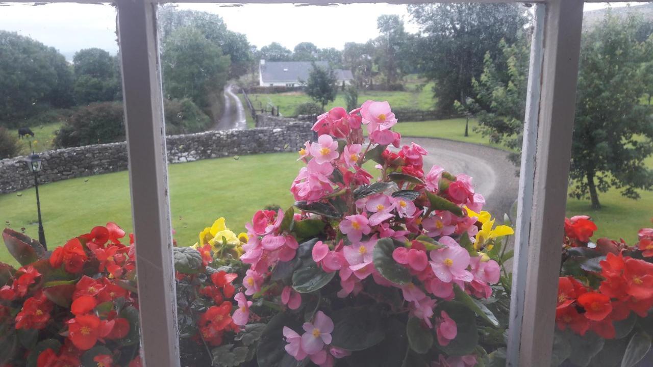 Bealkelly Country House Killaloe Exterior photo