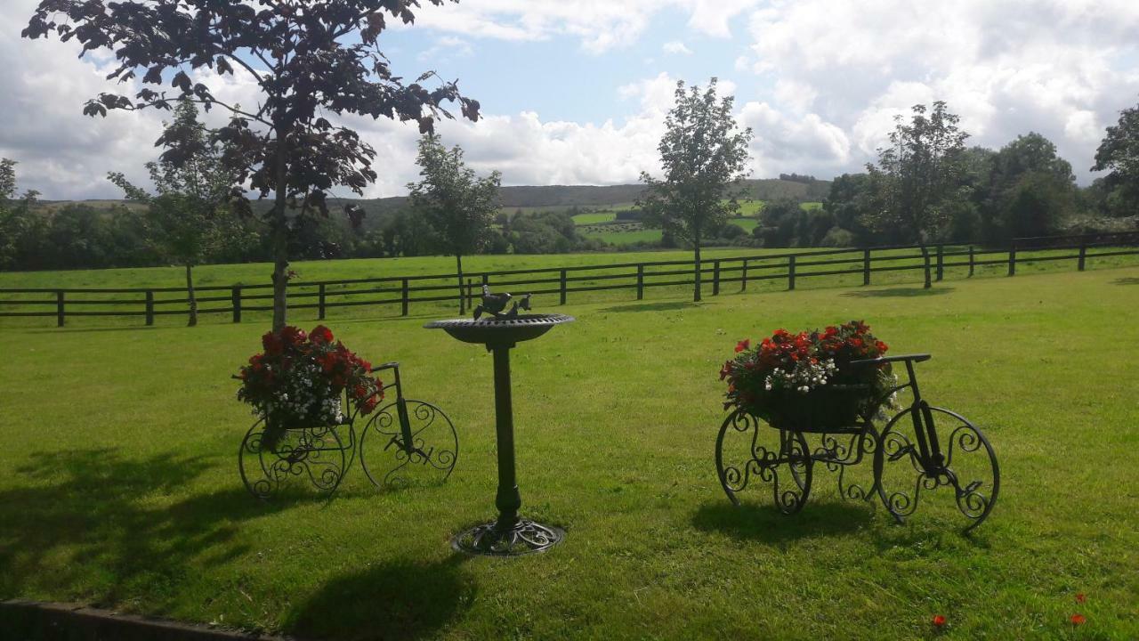 Bealkelly Country House Bed & Breakfast Killaloe Exterior photo